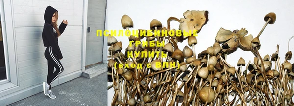 бошки Беломорск