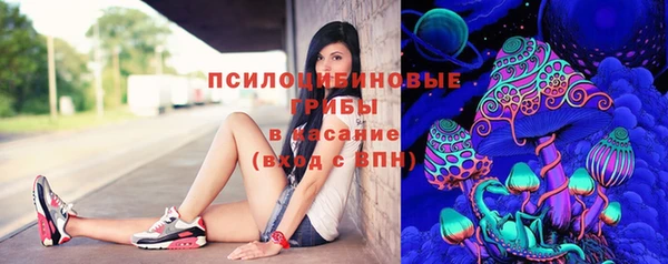 бошки Беломорск