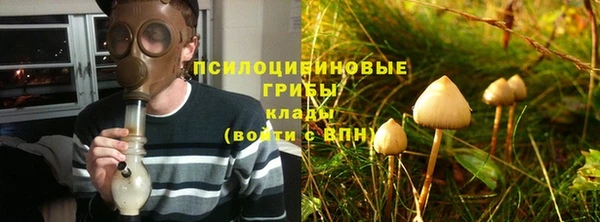 бошки Беломорск